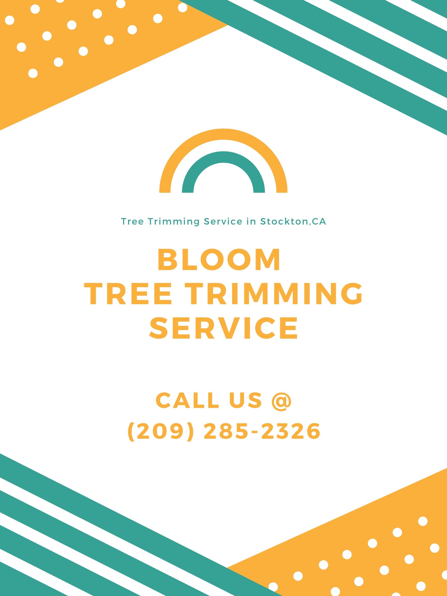 Bloom Tree trimming service Bloom Tree Trimming Service