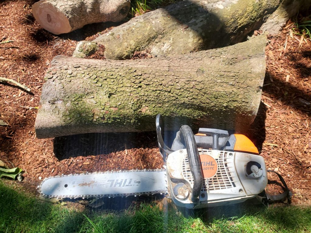 Chainsaw safety