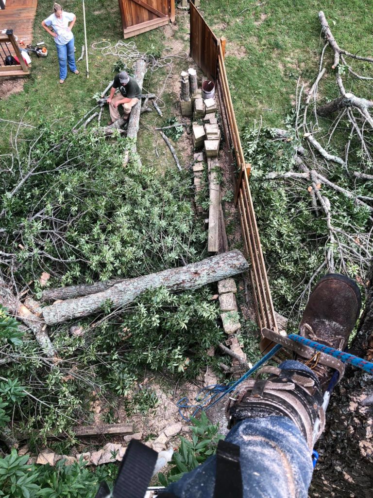 Tree Pruning