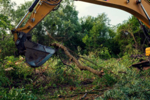 Land Clearing for Any Request (Residential or Commercial)
