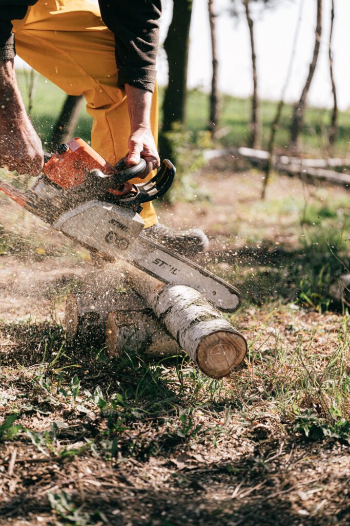 tree cutting