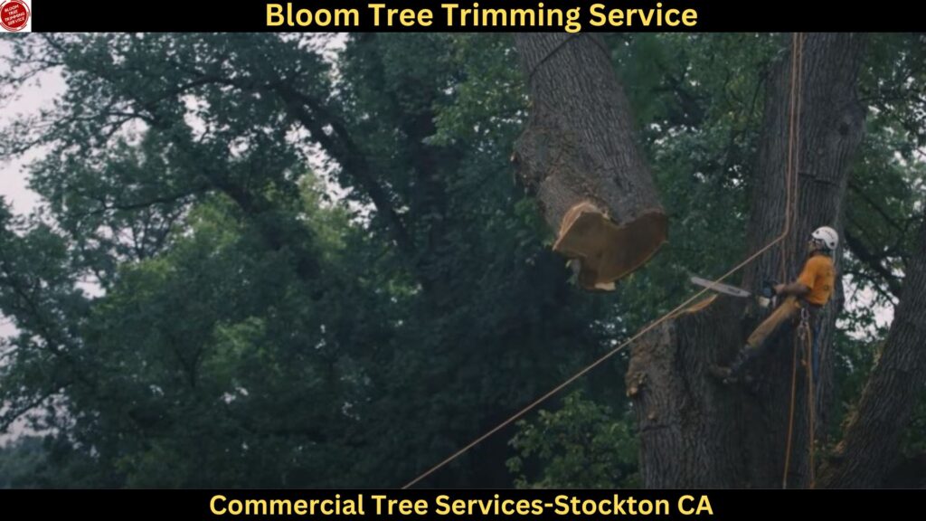 Commercial Tree Services in Stockton,CA