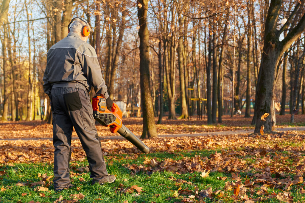 Why Choose Us for Tree Services in Tracy?