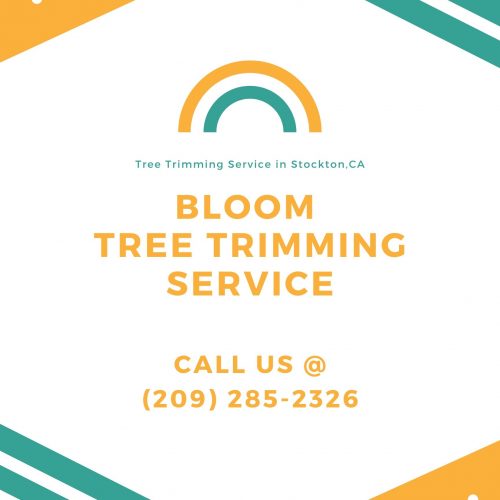 Bloom Tree Trimming Service
